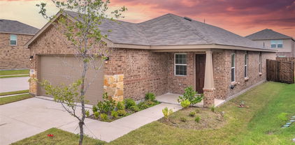 1823 Ballinger Dr, Forney