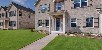 1828 Summer Aura, Mesquite