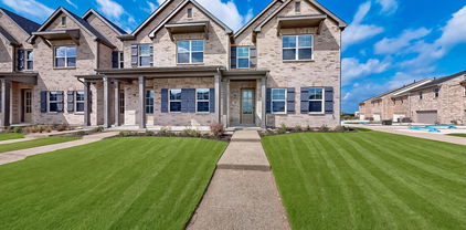 1800 Summer Aura, Mesquite