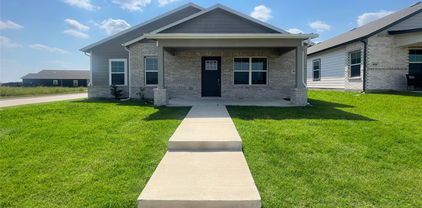 4602 Coachwhip Ln, Forney