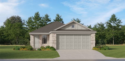 1116 Barbary Fields St, Forney