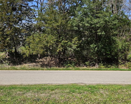 TBD W Lane St, Quinlan