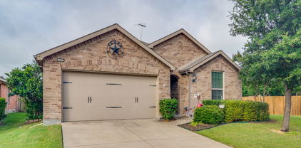 1119 Luckenbach Dr, Forney