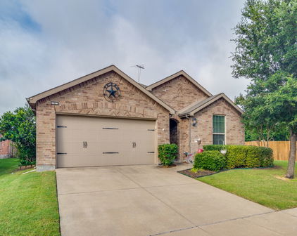 1119 Luckenbach Dr, Forney