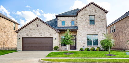 229 Cisco Trl, Forney