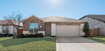 3111 Josefina Ln, Forney