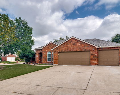 101 Fieldwood Ct, Forney