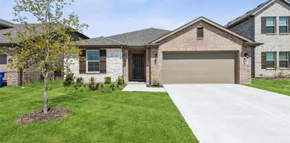 1404 Etosha, Royse City