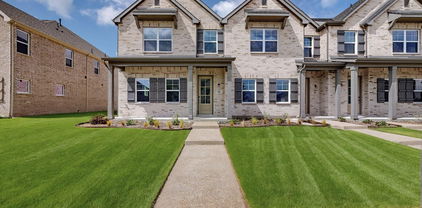 1812 Summer Aura, Mesquite