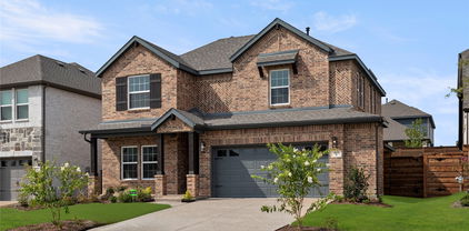 1817 Jasmine June, Mesquite