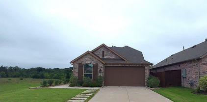 3970 Rochelle Ln, Forney