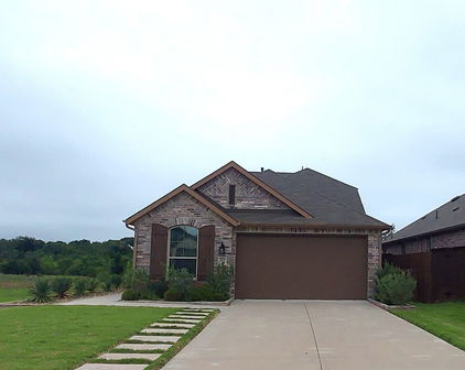 3970 Rochelle Ln, Forney