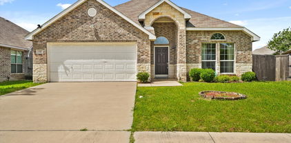 131 Wandering Dr, Forney