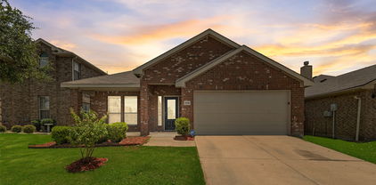 2046 Dripping Springs Dr, Forney