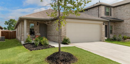 3 La Esperanza Dr, Mesquite