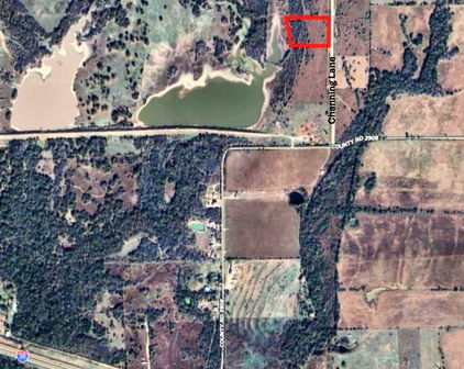 TBD Channing Ln, Wills Point