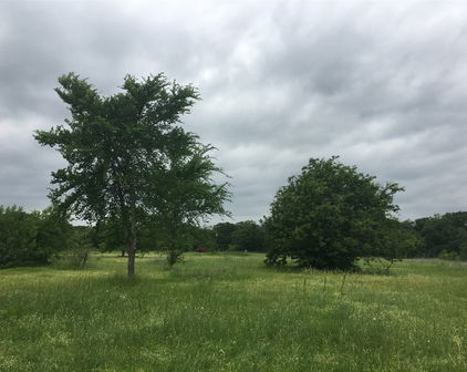 19117 County Road 4051, Kemp