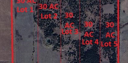 Lot 4 Cr 4911, Ladonia