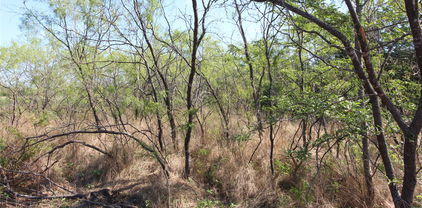 TBD Lot 9 Tbd, Kaufman
