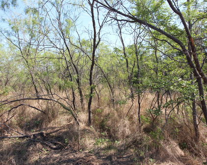 TBD Lot 9 Tbd, Kaufman