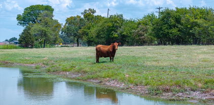 TBD Vz County Rd, Canton