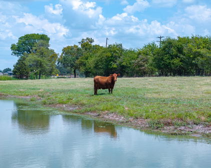 TBD Vz County Rd, Canton