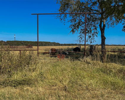 TBD Vz County Rd, Canton