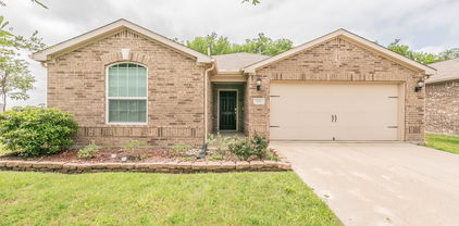 3001 Rocking Hills Trl, Forney