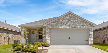1424 Tarzan Dr, Forney