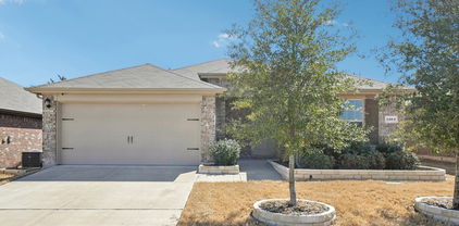 1204 Trevino Rd, Forney