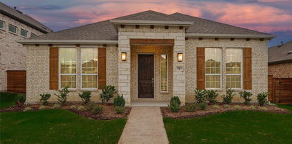 1804 Night Owl Way, Mesquite