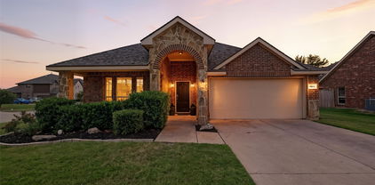 1054 Dancing Waters Ave, Forney