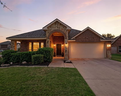 1054 Dancing Waters Ave, Forney
