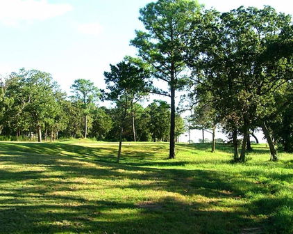 18891 Fm Road 548, Terrell