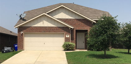 9055 Switchgrass Ln, Forney
