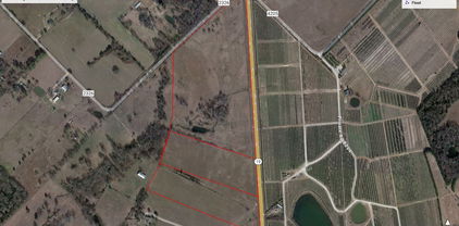Lot 4 Hwy-19, Canton