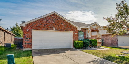 2006 Zavala, Forney