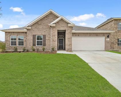 740 Vineyard Way, Forney