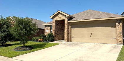 2317 Carrier Dr, Fate