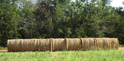 TBD County Rd, Celeste
