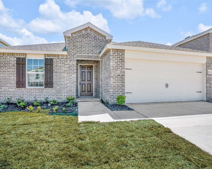 1061 Castroville Dr, Forney