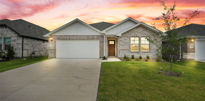 1328 Los Olmos Ln, Crandall