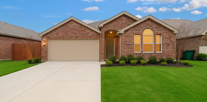 3913 Great Plains Way, Forney