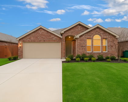 3913 Great Plains Way, Forney