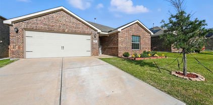 3111 Chillingham Dr, Forney