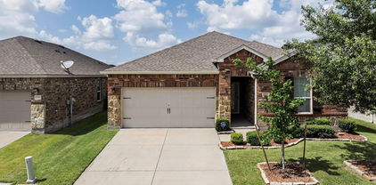 2070 Rosebury Ln, Forney