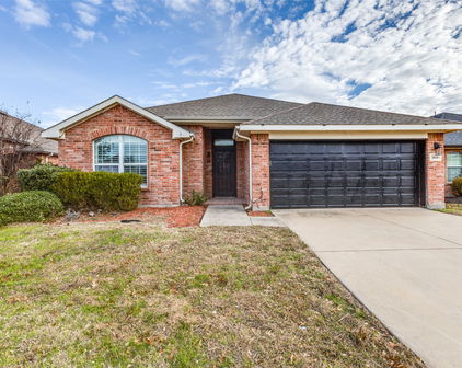 1028 Ingram Dr, Forney