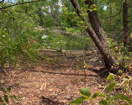 3294 Cedar Bnd, Wills Point