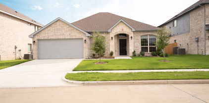 216 Painted Trl, Forney