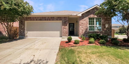 4100 Dragonfly Ct, Forney